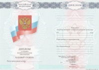 Диплом колледжа с 2007 по 2009 годы