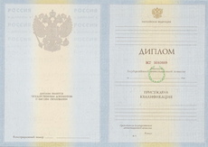 Диплом специалиста с 2010 по 2011 годы